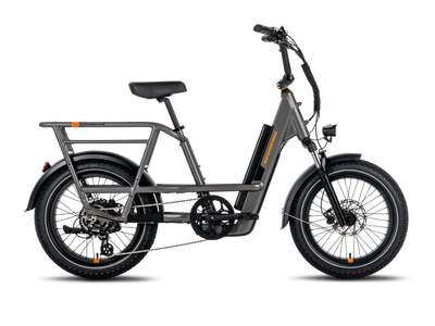 RadRunner 3 Plus Electric Utility Bike