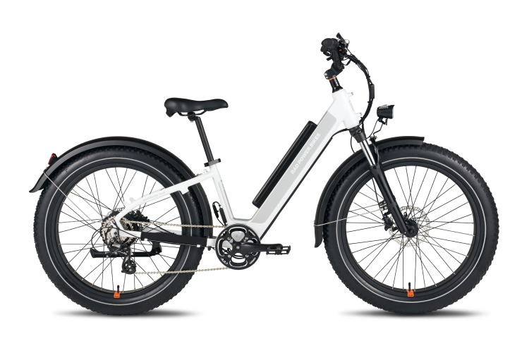 RadRover 6 Plus Fat Tire Electric Bike Rad Power Bikes