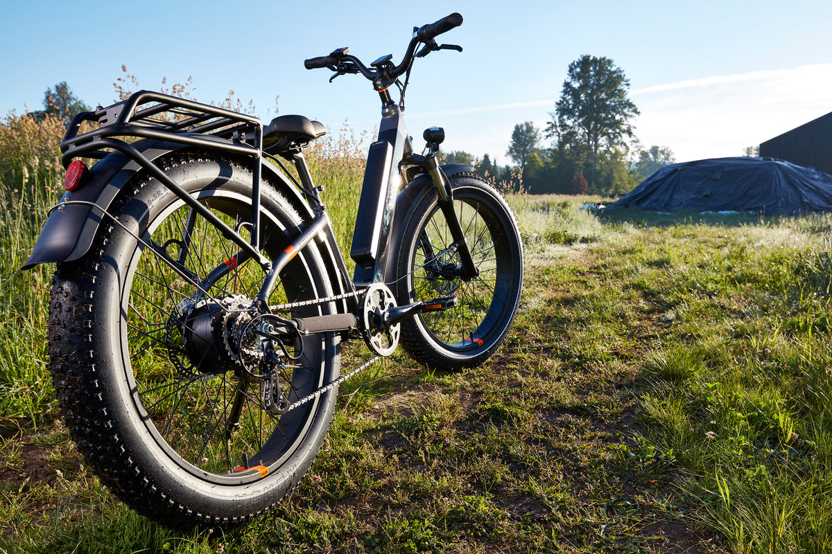 radrover electric bicycle 6 Plus Fat Tire Bike hub motor Rad Rover - Fat Tire