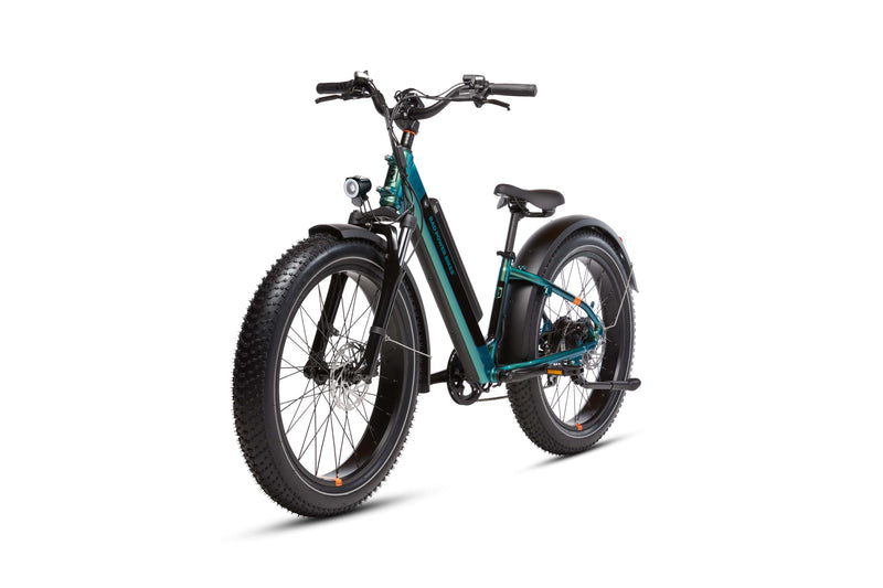 Angled Left side view of a RadRover 6 Plus Step-thru electric fat tire bike