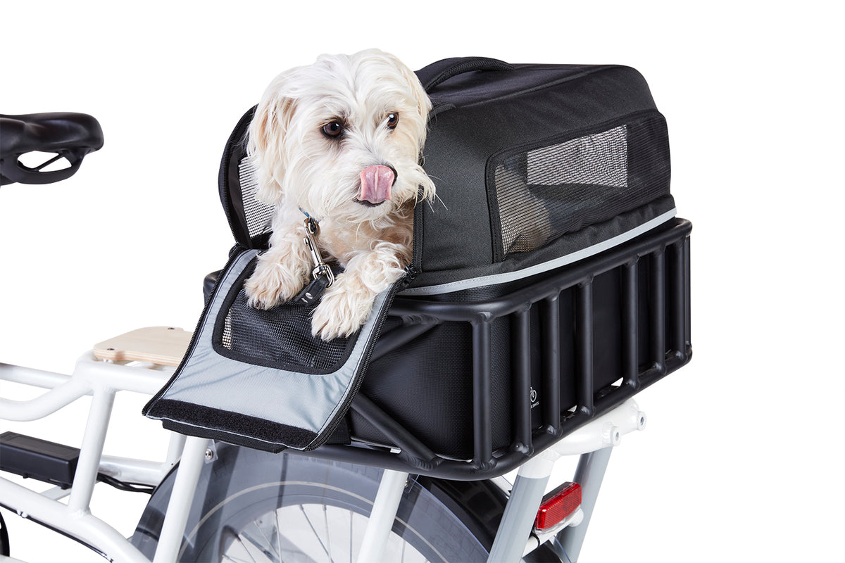 Dog Bike With Carrier On Back Back Bike Basket For Dogs Pet