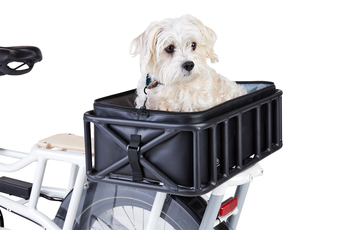 HOMBYS Foldable Dog Bike Basket - Portable Pet Carrier With Removable Liner For Cycling Adventures
